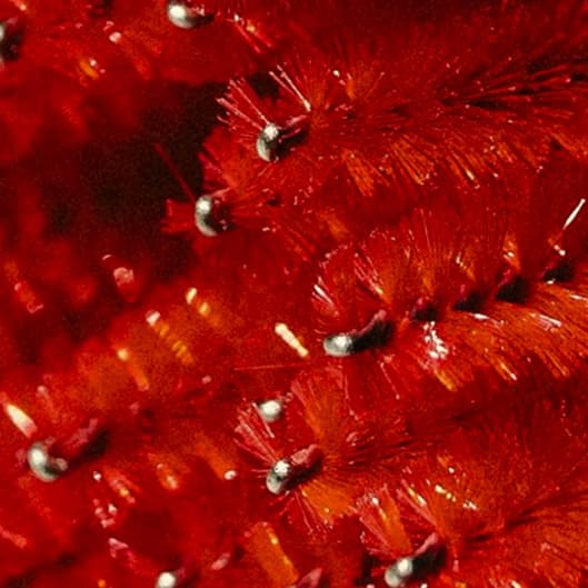 The ULTIMATE Lash Kit at Pretty Girl Lashing in Tomball, TX